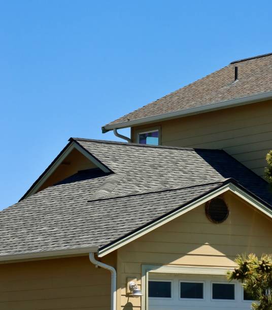 Best Chimney Flashing Repair  in Belle Isle, FL